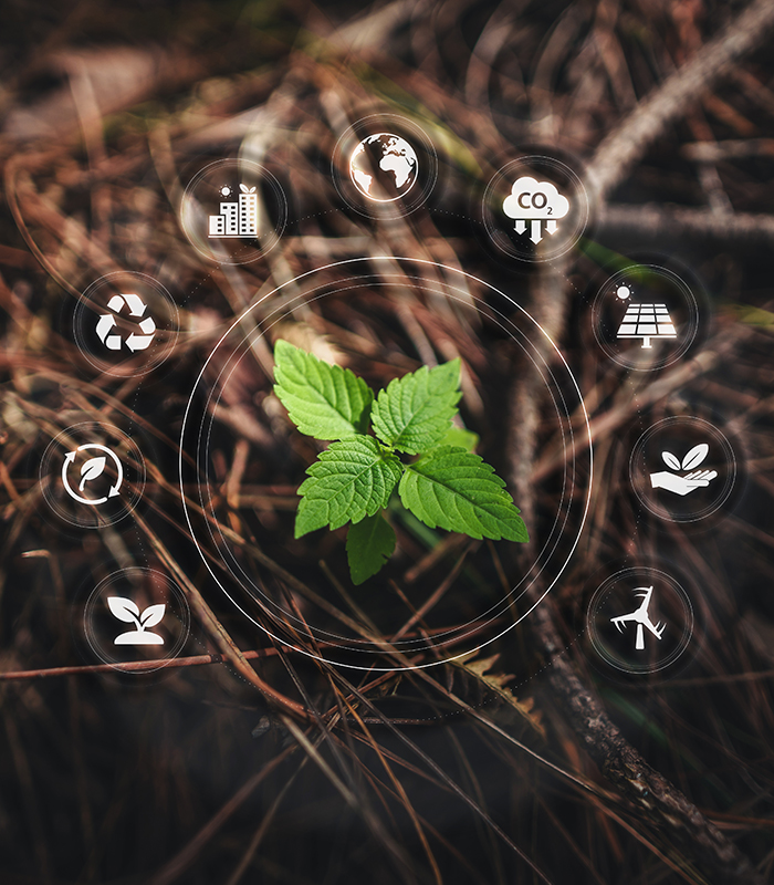 Grants & Eligibility_Process