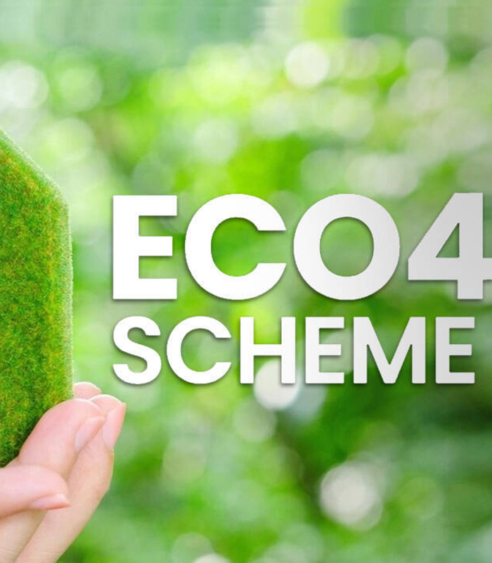 inner_service_government_grant